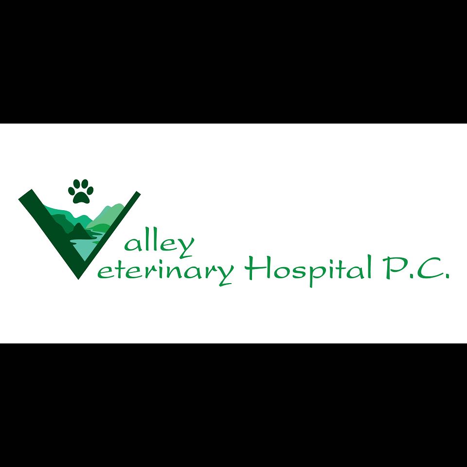 Veterinarian